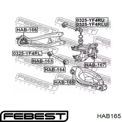 Сайлентблок заднего нижнего рычага Febest HAB165
