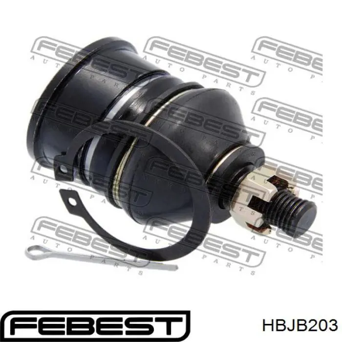 Купить HBJB203 Febest Нижняя шаровая опора