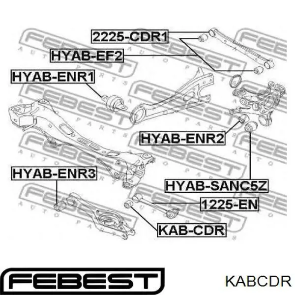 Купить KABCDR Febest Сайлентблок заднего поперечного рычага