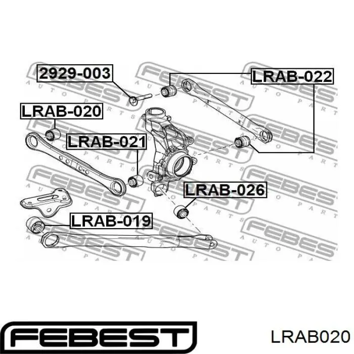 LRAB020 Febest Сайлентблок задней поперечной тяги