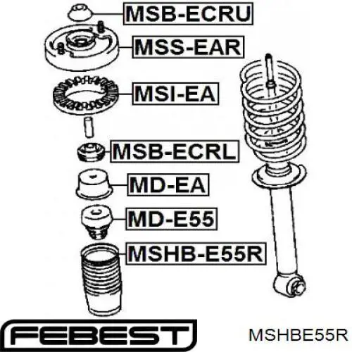 Caperuza protectora/fuelle, amortiguador trasero MSHBE55R Febest