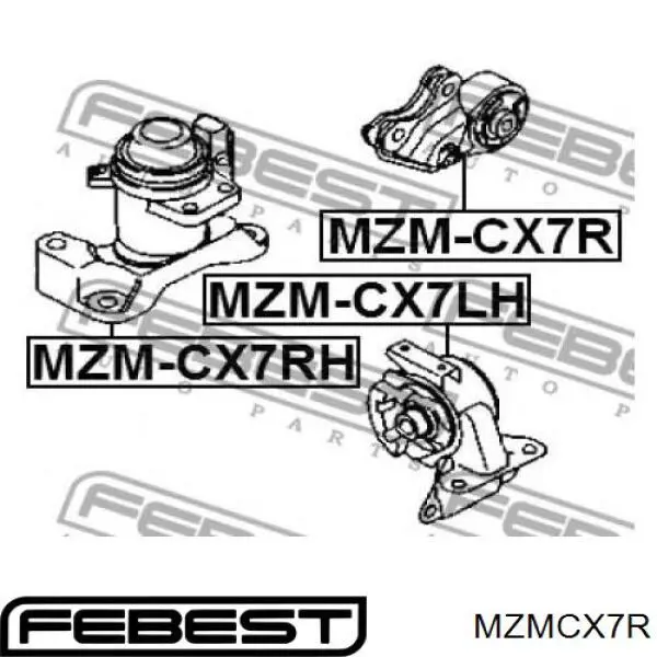 Задняя опора двигателя MZMCX7R Febest