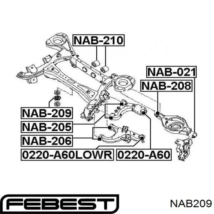Suspensión, cuerpo del eje trasero NAB209 Febest
