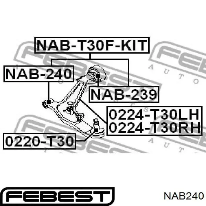 NAB240 Febest Сайлентблок нижнего переднего рычага