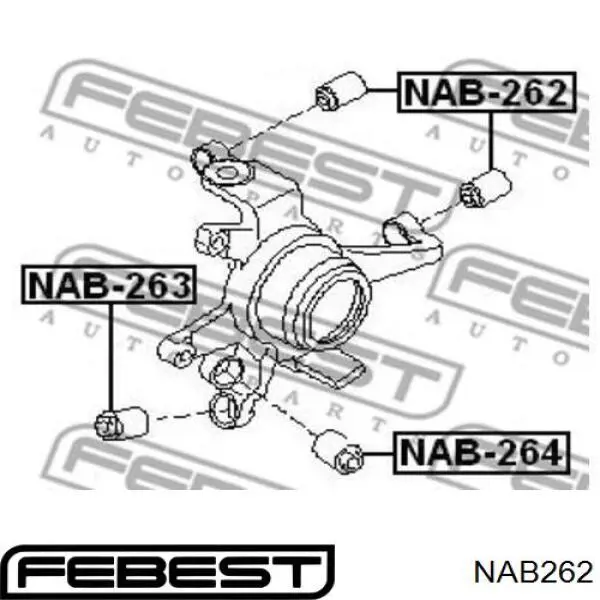 NAB262 Febest 