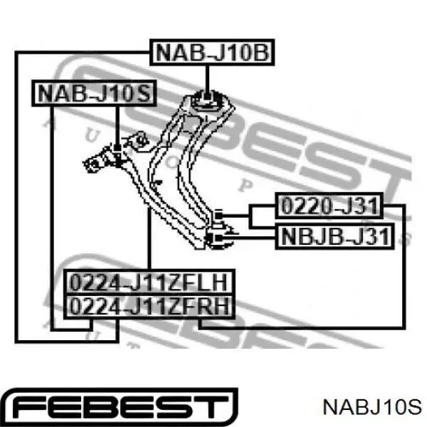 Купить NABJ10S Febest Сайлентблок нижний передней подвески