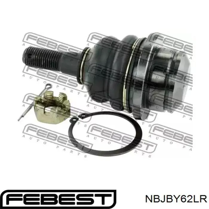 Купить NBJBY62LR Febest Шаровая опора задней подвески нижняя