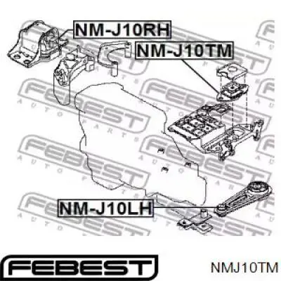 Подушка (опора) двигателя, левая задняя Febest NMJ10TM