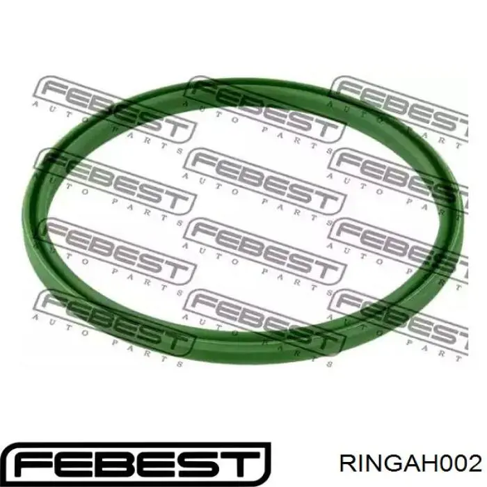 RINGAH-002 Febest vedante (anel de mangueira de esfriamento de turbina, de retorno)