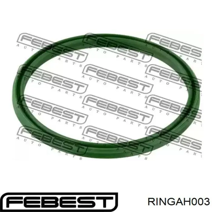 Уплотнительное кольцо (прокладка) патрубка интеркуллера на Volkswagen Passat CC 