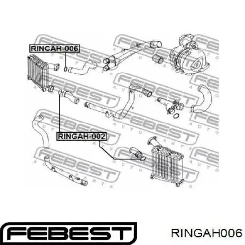 Уплотнительное кольцо (прокладка) патрубка интеркуллера Febest RINGAH006