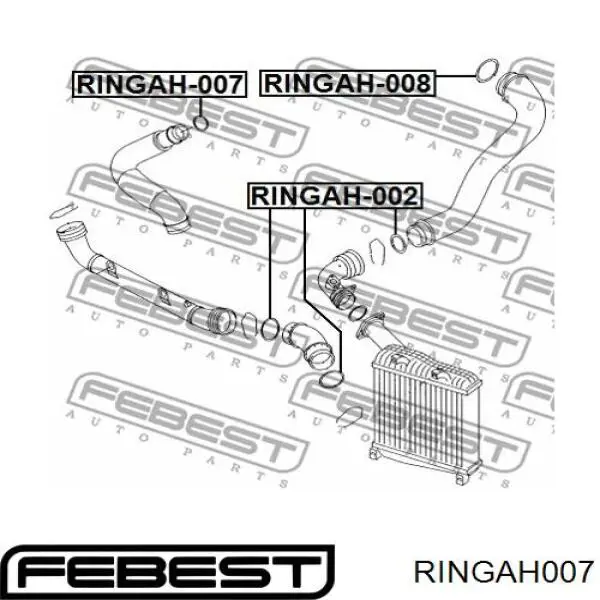 Прокладка (кольцо) шланга охлаждения турбины, подачи на Volkswagen Passat B6, 3C5