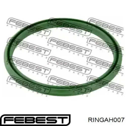 Прокладка шланга охлаждения турбины RINGAH007 Febest