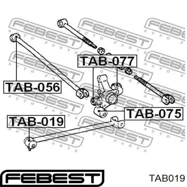 Купить TAB019 Febest Сайлентблок заднего продольного рычага