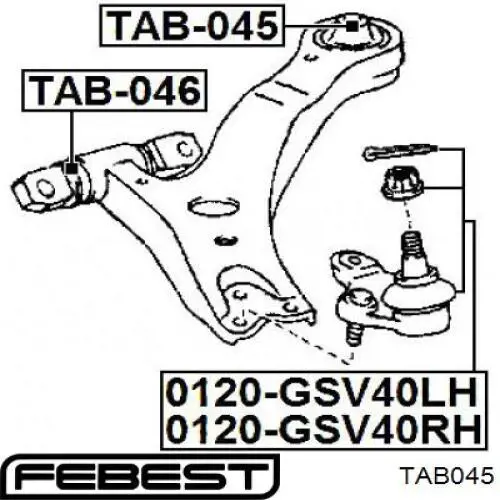 TAB045 Febest Сайлентблок нижнего переднего рычага