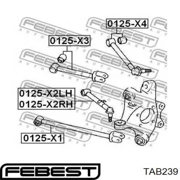 TAB239 Febest Сайлентблок задней поперечной тяги