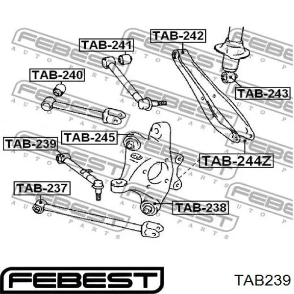 Купить TAB239 Febest Сайлентблок тяги поперечной (задней подвески)