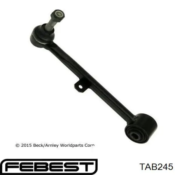 TAB245 Febest Сайлентблок цапфы