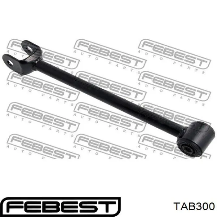 Сайлентблок задней подвески Febest TAB300