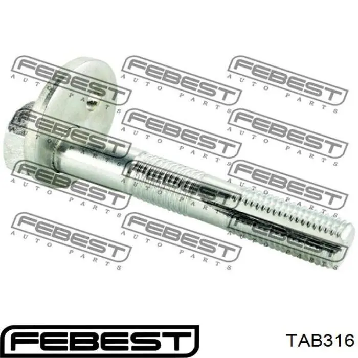 Сайлентблок заднего поперечного рычага TAB316 Febest