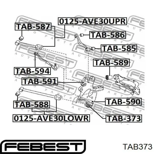 Купить TAB373 Febest Сайлентблок цапфы задней