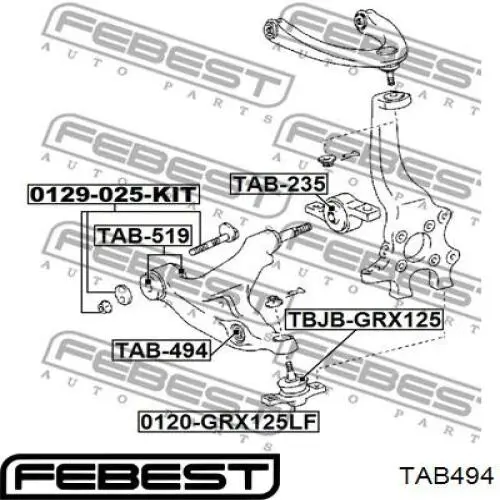 Купить TAB494 Febest Сайлентблок нижний передней подвески