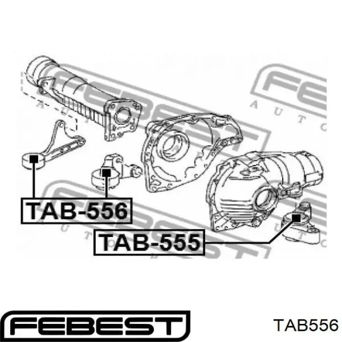 Soporte, diferencial eje delantero, derecho TAB556 Febest