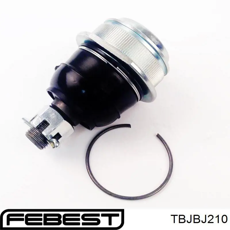Пыльник опоры шаровой нижней TBJBJ210 Febest