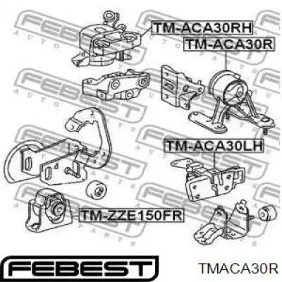 Купить TMACA30R Febest Гидроопора двигателя задняя
