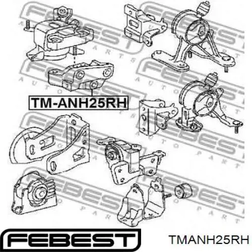 TMANH25RH Febest подушка (опора двигателя правая)