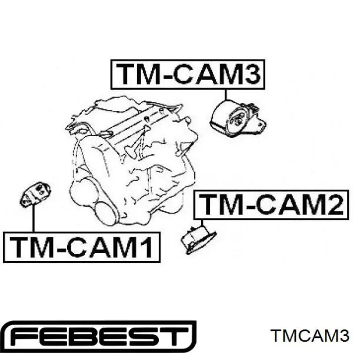Подушка (опора) двигателя задняя Febest TMCAM3