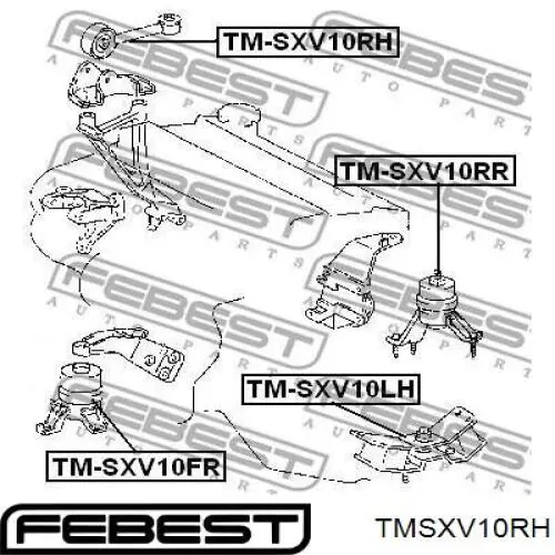 TMSXV10RH Febest подушка (опора двигателя правая)