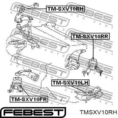 Правая подушка двигателя TMSXV10RH Febest