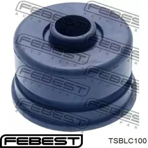 TSBLC100 Febest подушка рамы (крепления кузова)