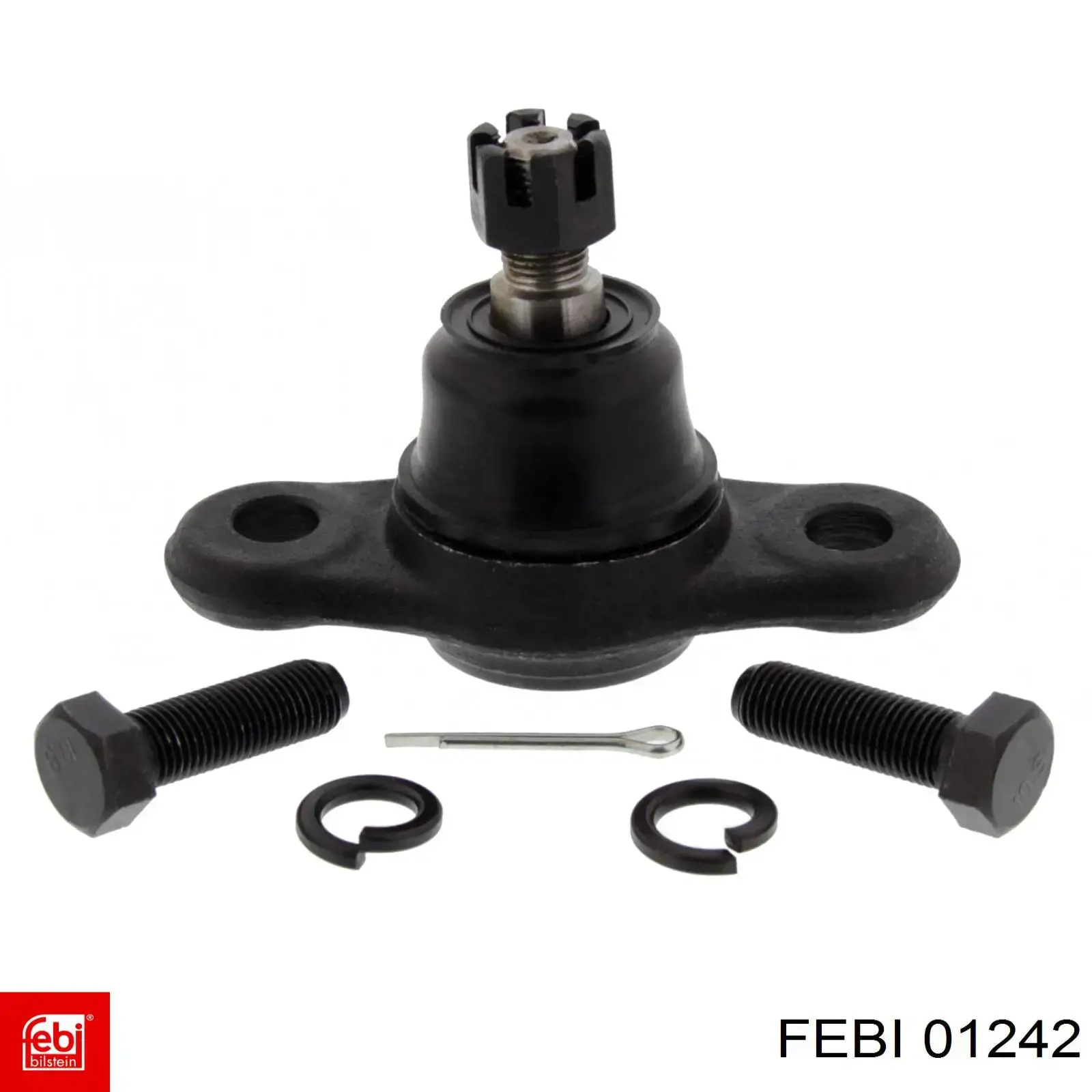  Febi 01242