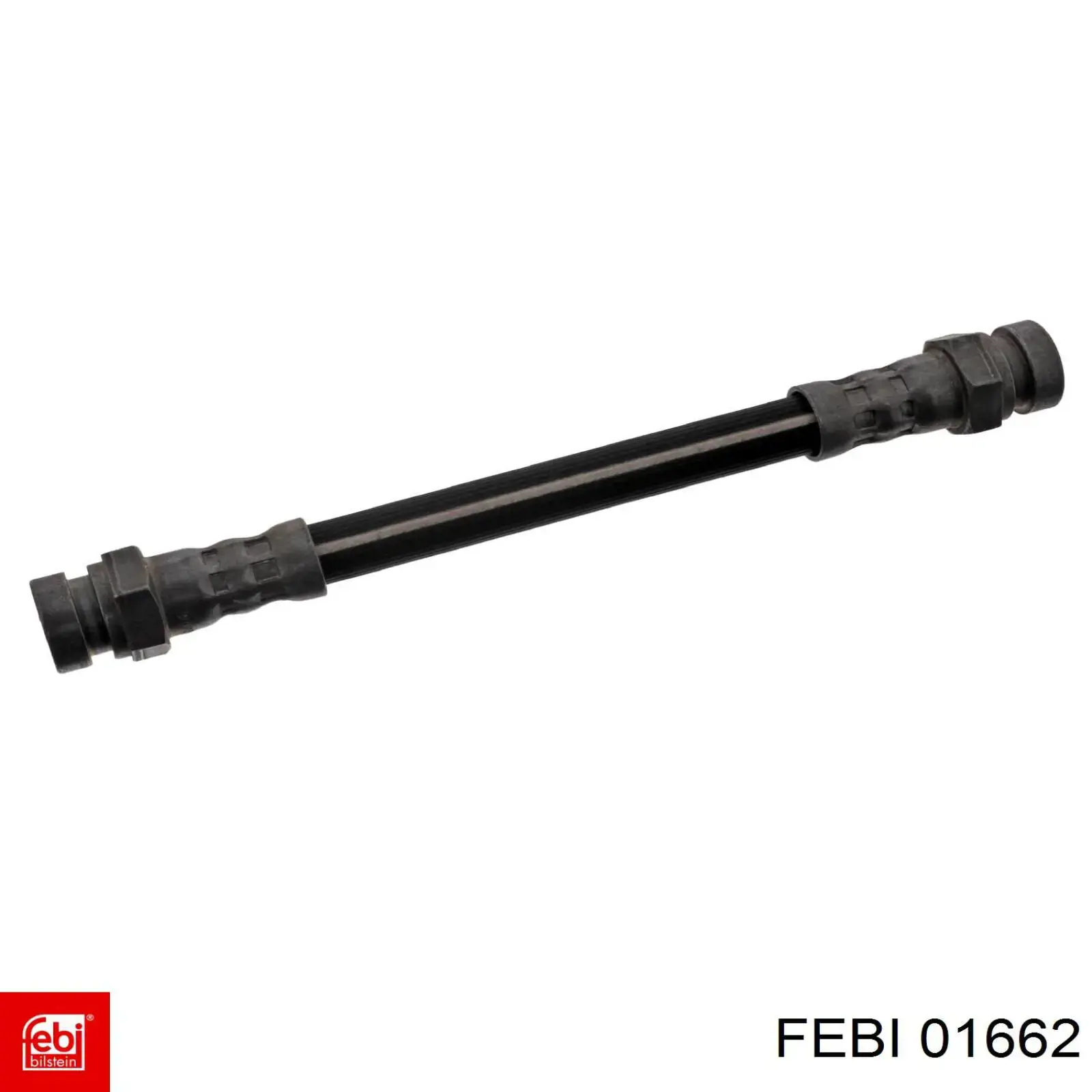  1662 Febi