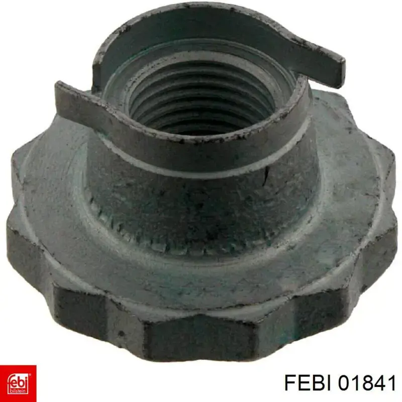 Гайка ступицы задней Febest 1698NHUB03 цена, от 4.82 USD