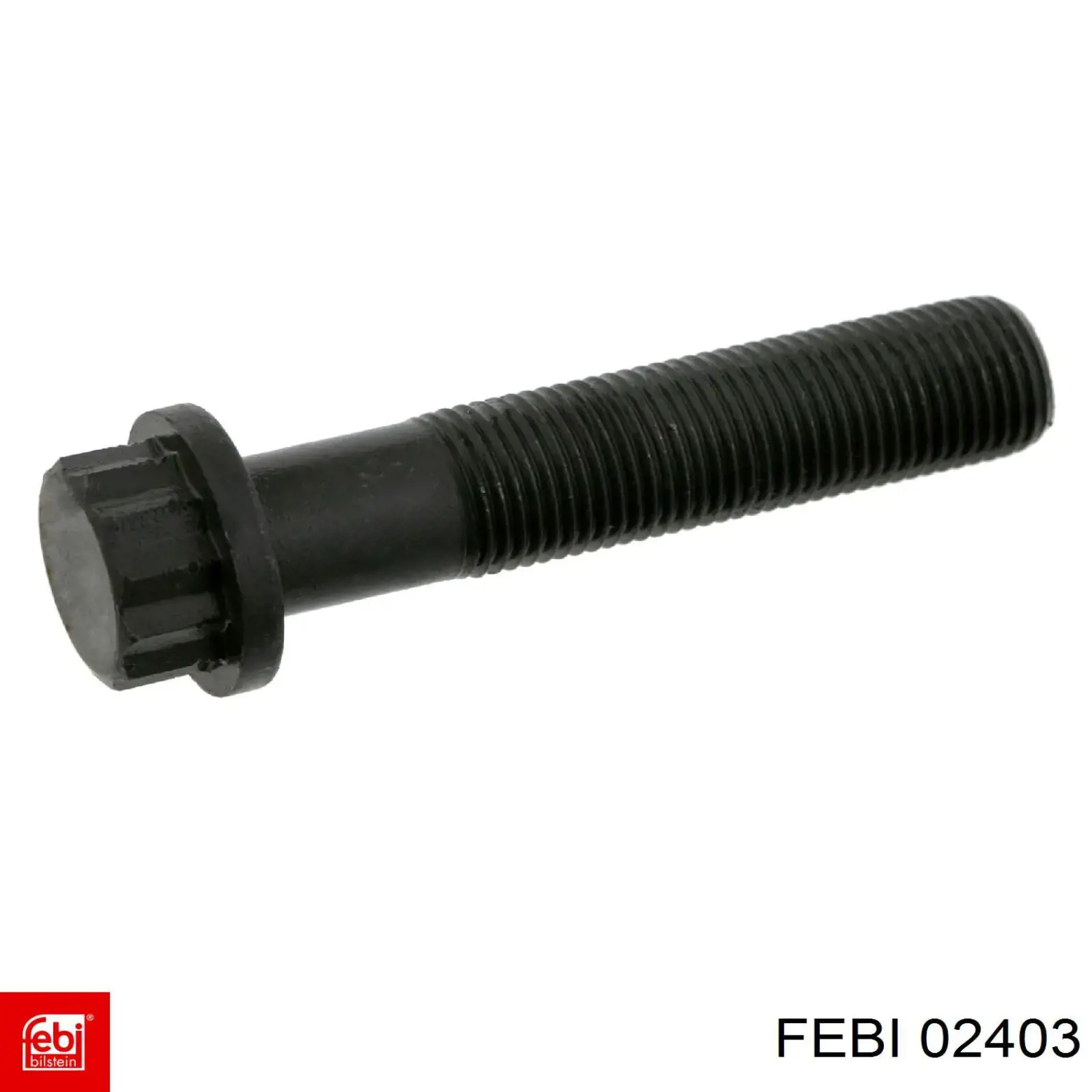  02403 Febi