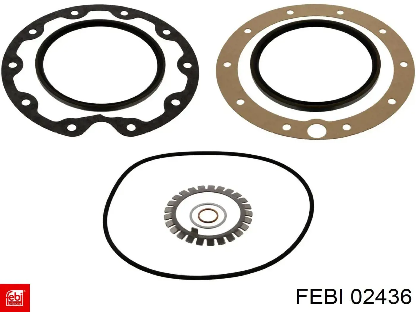  02436 Febi