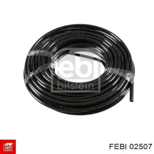  Febi 02507