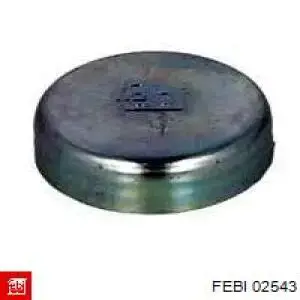 Купить 02543 Febi Заглушка ГБЦ