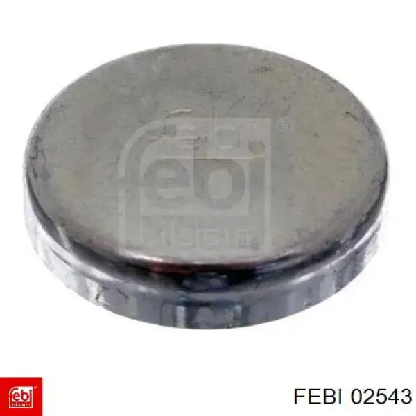 Заглушка ГБЦ 02543 Febi