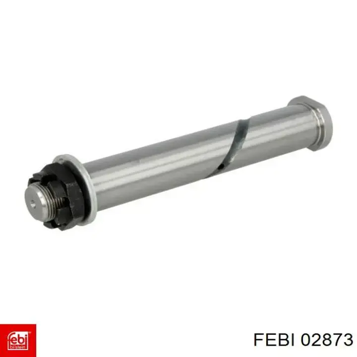 2873 Febi 