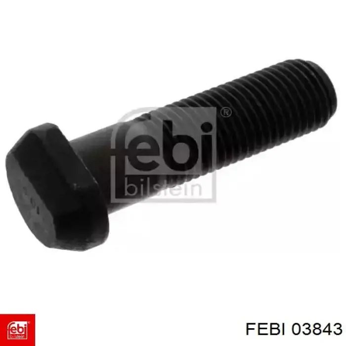  03843 Febi