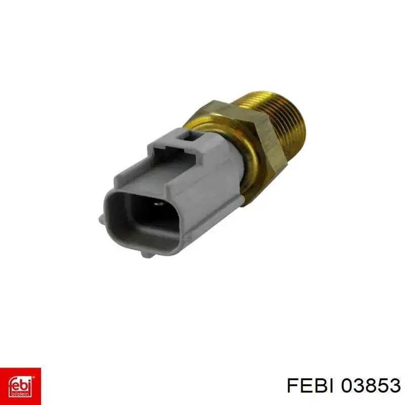  03853 Febi