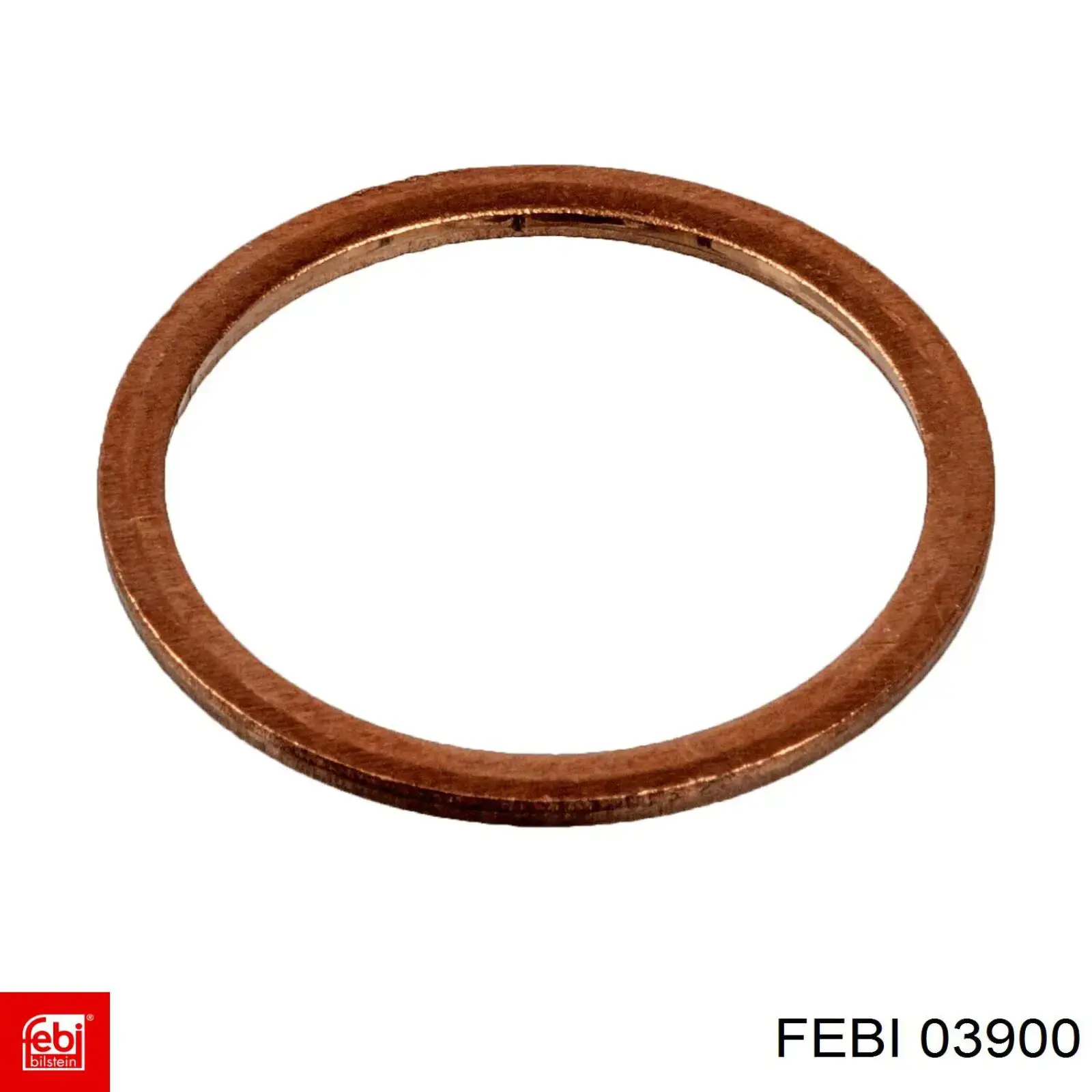  6644 Febi