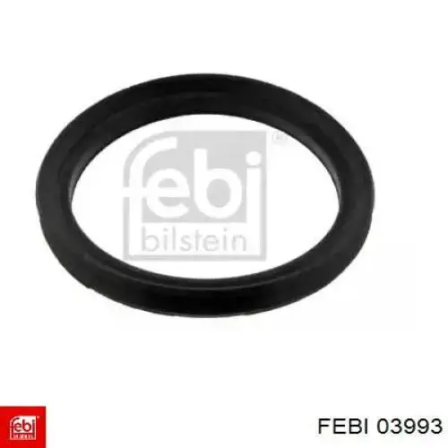  03993 Febi