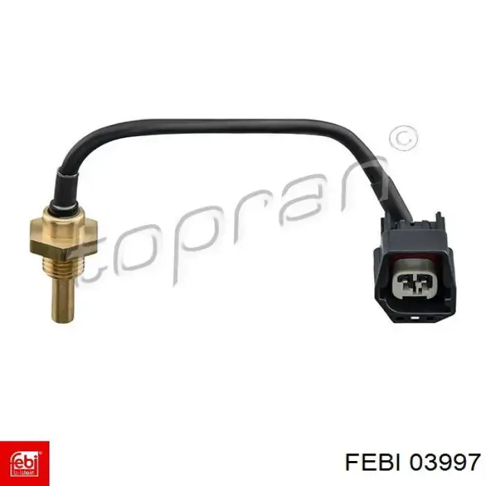  03997 Febi