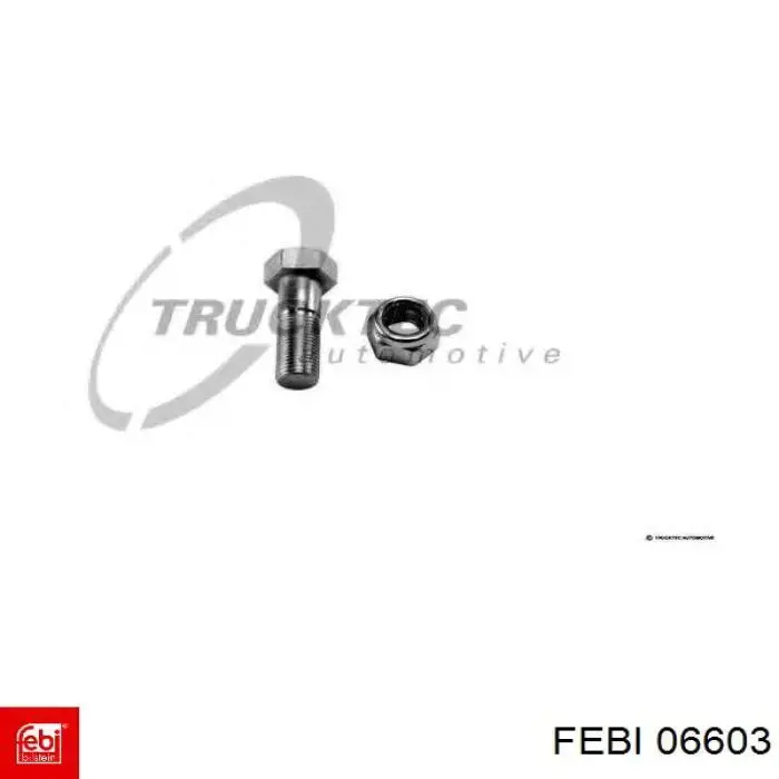  06603 Febi