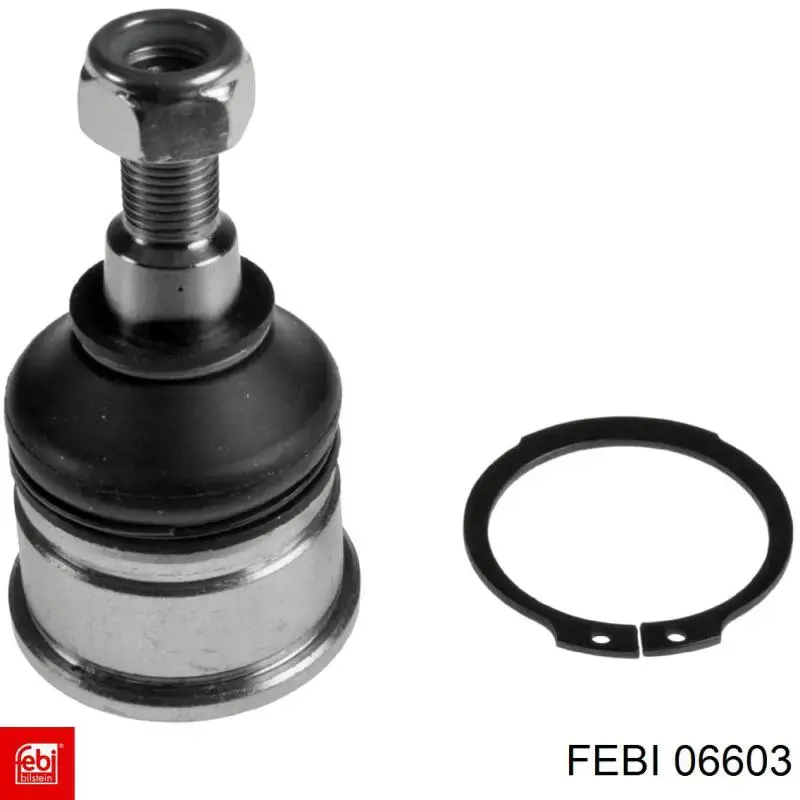 06603 Febi 